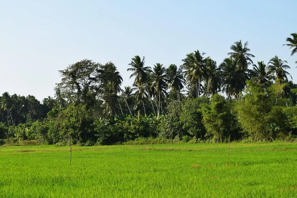 Thambili Adventure Resort Negombo