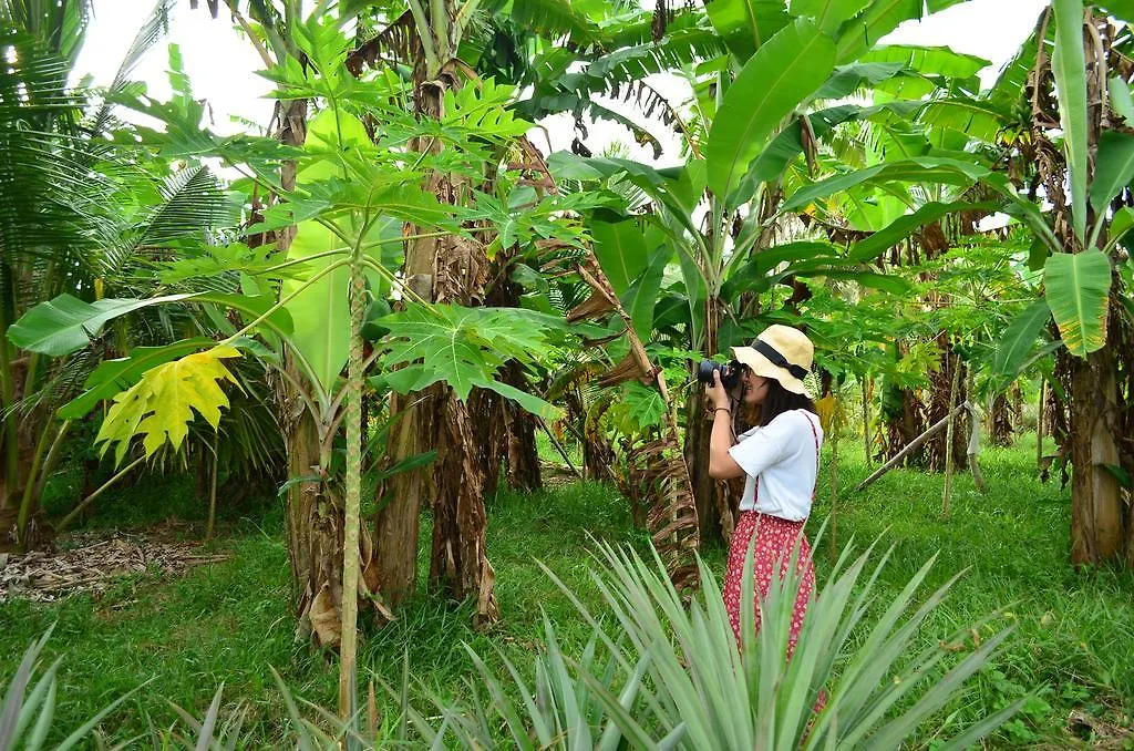 Thambili Adventure Resort Negombo