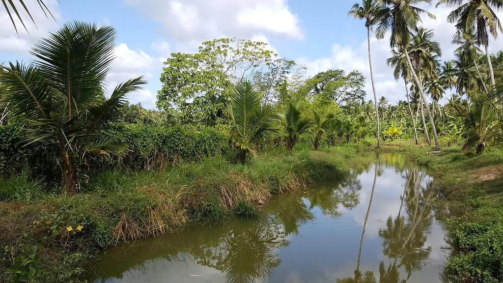 Thambili Adventure Resort Negombo 0*,