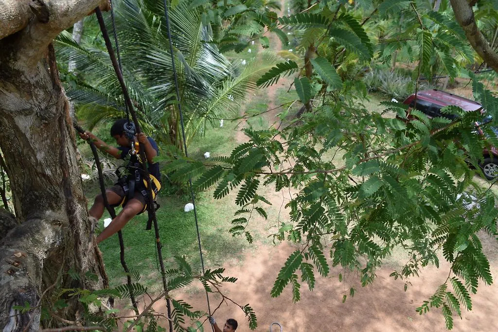 Thambili Adventure Resort Negombo