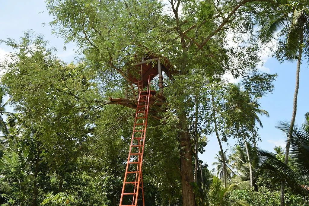 Thambili Adventure Resort Negombo