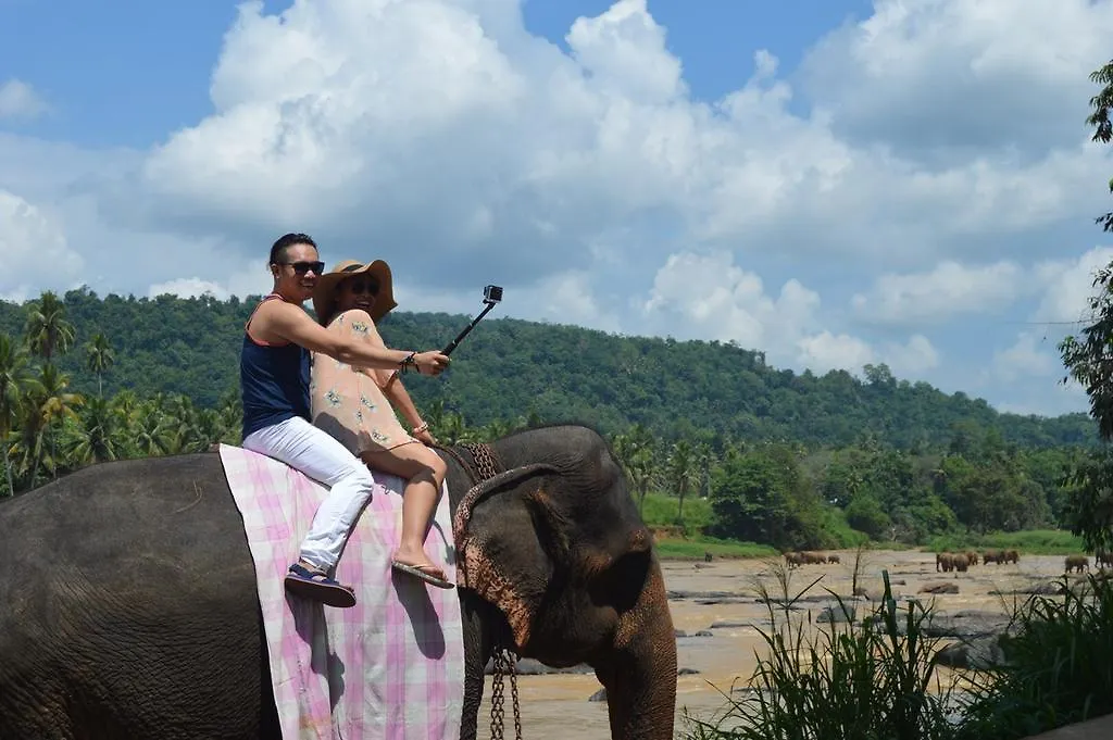 Thambili Adventure Resort Negombo